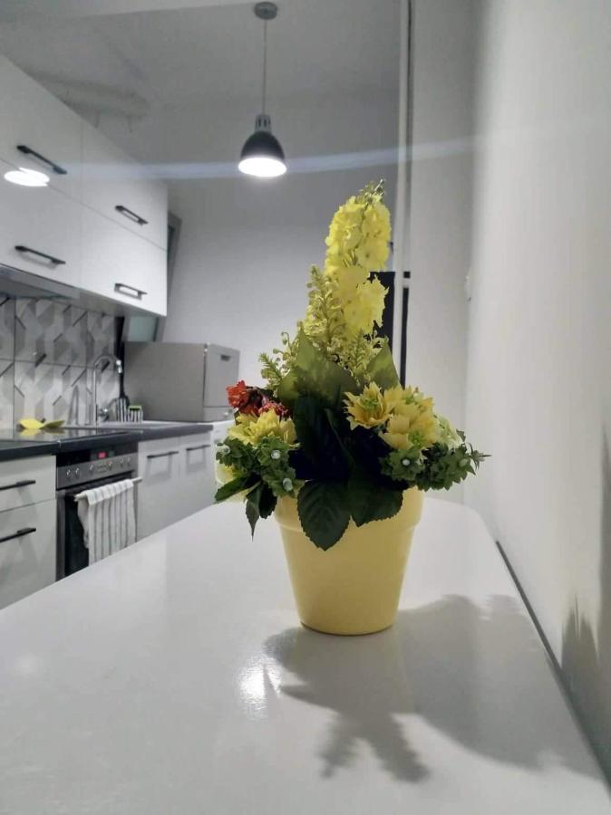 A Convenient Apartment In The Heart Of Athen Eksteriør billede